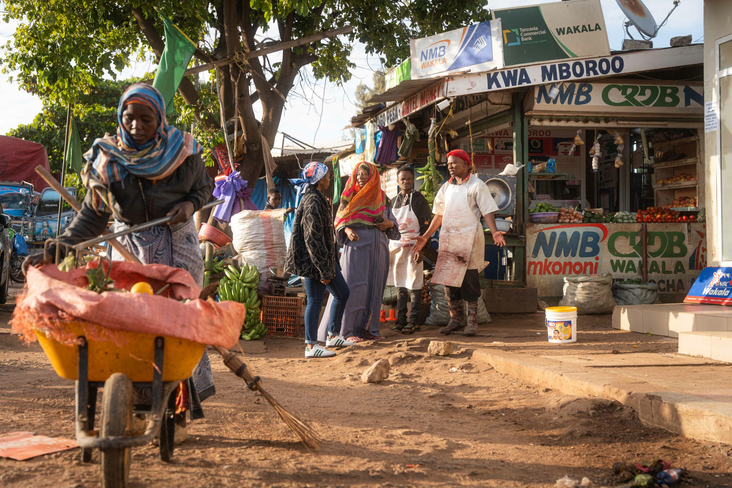 RS55191_TZA_2025_Sauti na Nafasi_Yusuf Msafiri-113